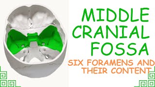 ANATOMY OF MIDDLE CRANIAL FOSSA ALL FORAMEN WITH CONTENTS [upl. by Selemas]