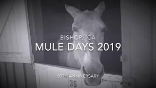 Bishop Mule Days 2019  We mingled with mules and danced western style [upl. by Nicodemus]