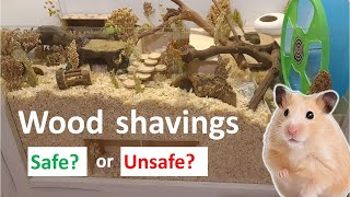 Are Wood Shavings Safe for Hamsters Softwood [upl. by Merridie]