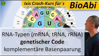 RNATypen mRNA tRNA rRNA Genetischer Code und Komplementäre Basenpaarung  Anwendungsaufgaben [upl. by Enilekaj304]