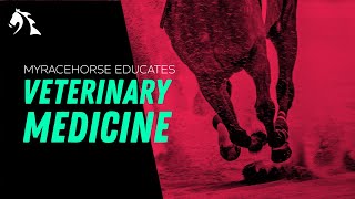 Suspensory Ligament Diagnosis and Prognosis Mo Mischief amp Lady Valentine [upl. by Ramel]