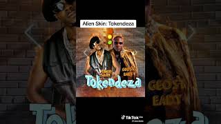 Tokendeza Remix Alienskinug X Geosteady [upl. by Alyak]