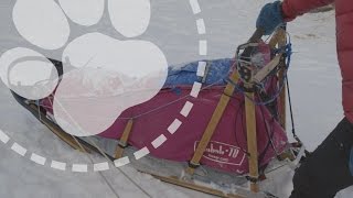 Mushing Explained Designing the perfect dog sled [upl. by Rae477]