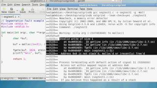 Valgrind  Live Debugging Examples [upl. by Camey]