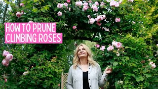 HOW TO PRUNE CLIMBING ROSES [upl. by Carrick]