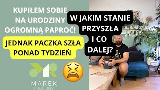 Szok Ogromna połamana roślina po ponad tygodniu w drodze😵 Kupiłem sobie wielki prezent urodzinony [upl. by Atinev822]