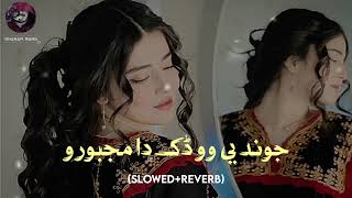 Jwand ye wo dak da majboro wada ye na kawalaslowedreverb Pashto song pashtosong tranding [upl. by Aineg]