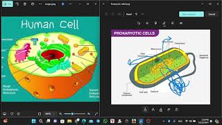 Microbiology part 1 علوم صحية [upl. by Ardnossak624]