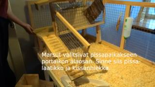 Marsujen häkin siivous [upl. by Laval]