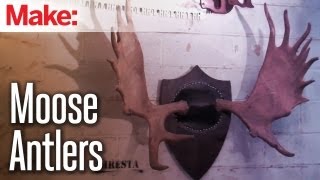 Diresta Mounting Moose Antlers [upl. by Iclek]