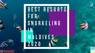 Best Resorts for Snorkeling in Maldives [upl. by Close]