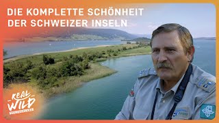 3 Stunden Doku zum Einschlafen Atemberaubende Schweiz  Real Wild DE [upl. by Clair]