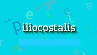 ILIOCOSTALIS  How to pronounce Iliocostalis [upl. by Neala]