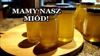 PŁYNNE ZŁOTO CZYLI NASZ WŁASNY MIÓD 🌞 NAWŁOCIOWE SZALEŃSTWO 🐝🐝🐝 ŻYCIE W KANADZIE 🇨🇦 [upl. by Kevin]