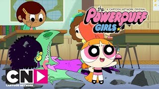 Powerpuff Girls  Mojonun Sorgusu Blossom  Cartoon Network Türkiye [upl. by Ennyleuqcaj]