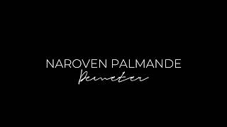 Naroven Palmande  Lukáš Demeter cover [upl. by Ekard]