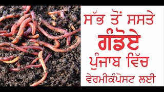 Earthworms For Sale In Punjab Earthworms Kechua Vermicompost Vermicompost Punjab Organic [upl. by Friedrich583]