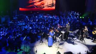 The Dark Knight  Hans Zimmer J Newton Howard  LIVE [upl. by Nytsuj]