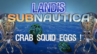 Crab Squid Eggs  Subnautica guides  ZP CF [upl. by Amann]