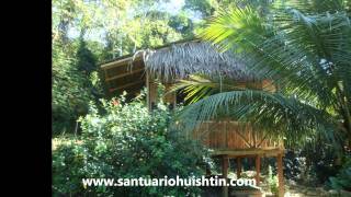 Ayahuasca Retreat Center Santuario Huishtin  Pucallpa [upl. by Anibla]