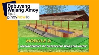 How to Raise Pigs Babuyangwalangamoy or Odorless Pigpen Episode 2  Pinoy How To [upl. by Jonathon]