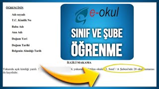 EOkul Öğrenci Sınıf Şube Öğrenme  EDevlet Öğrenci Bilgileri [upl. by Ocram]