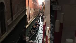 Veneziayoutubeshorts travel italytravel [upl. by Yevad896]