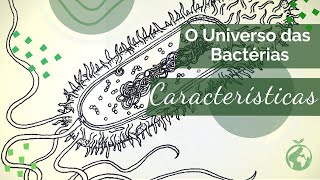 quotReino MoneraquotCuriosidades e Características Gerais das Bactérias  Prof Renan [upl. by Ecirb]