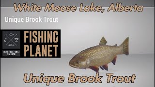 Unique Brook Trout  White Moose Lake Alberta  Fishing Planet Guide [upl. by Sato73]