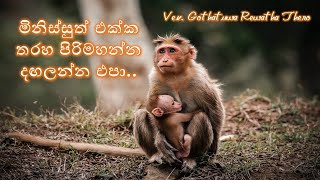 මිනිස්සුත් එක්ක තරහ පිරිමහන්න දඟලන්න එපා Ven Gothatuwa Rewatha Thero [upl. by Linnea277]