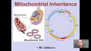 Mitochondrial Inheritance [upl. by Sue]