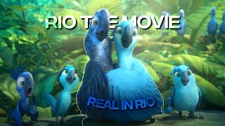 4K Rio「Edit」Real in Rio [upl. by Kaylil]