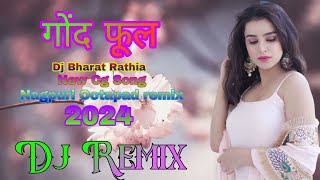 hay re gonda pool  Dj Bharat Rathia  Dj BiCku Rathia  new cg dj song  Nagpuri Octapad remix [upl. by Trixy]