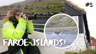 Unforgettable Experiences in the Faroe Islands  HALFWAY THERE Country 5 [upl. by Atneuqal]