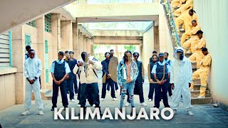 Dogo Janja amp Loui  Kilimanjaro Official Music Video [upl. by Thurnau]