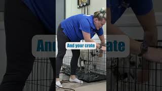 STOP Crate Barking With THIS Tip [upl. by Lorrin]