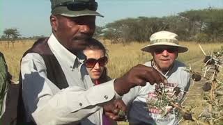 Discovering Tanzania Unveiling the Secrets of Safari and Serenity [upl. by Naes]