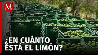 Comerciantes en la Central de Abasto CdMx afectados por extorsiones al limón [upl. by Terri]