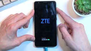 How to Accomplish Hard Reset on ZTE Blade A31  Hard Reset via Recovery Mode [upl. by Hedberg]