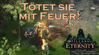 Lets Play Pillars of Eternity  Schwarzauen  Teil 14 [upl. by Triplett]