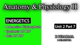 ADENOSINE TRIPHOSPHATE  BIOSYNTHESIS OF ATP  ROLE OF ATP  STRUCTURE OF ATP  ENERGETICS B PHARMA [upl. by Akessej859]