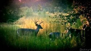 Creek Indian Gar Dance [upl. by Cassady591]