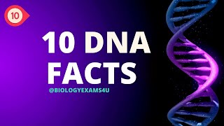 What is DNA 10 Facts about DNA [upl. by Hama]