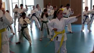 Zanshin Karate Cymru welcomes Shihan Ian Barlow amp Jessica Bate [upl. by Noemi389]