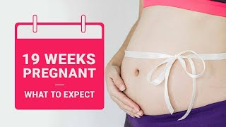 19 Weeks Pregnant  Baby Development Symptoms Dos and Donts [upl. by Dallman]