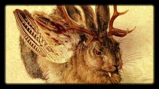 Wolpertinger German Jackalope [upl. by Mahseh]