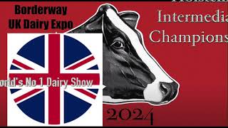 Holstein Championship Intermediate 2024 UK Dairy ExpoJudge Ben Govett Melbourne AU [upl. by Odnalref580]