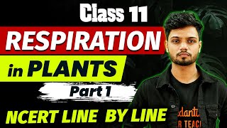 Respiration in Plants Part 1  Class 11 Biology  NCERT Line By Line [upl. by Sergeant680]