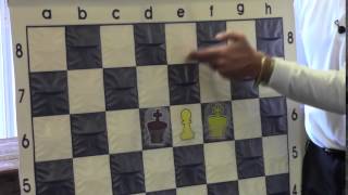 King and Queen Checkmate Opposition in the Endgame  GM Yasser Seirawan  20141109 [upl. by Windzer]