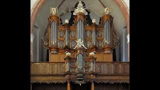 Cor van Wageningen  Dietrich Buxtehude  Schnitger organ [upl. by Akieluz]